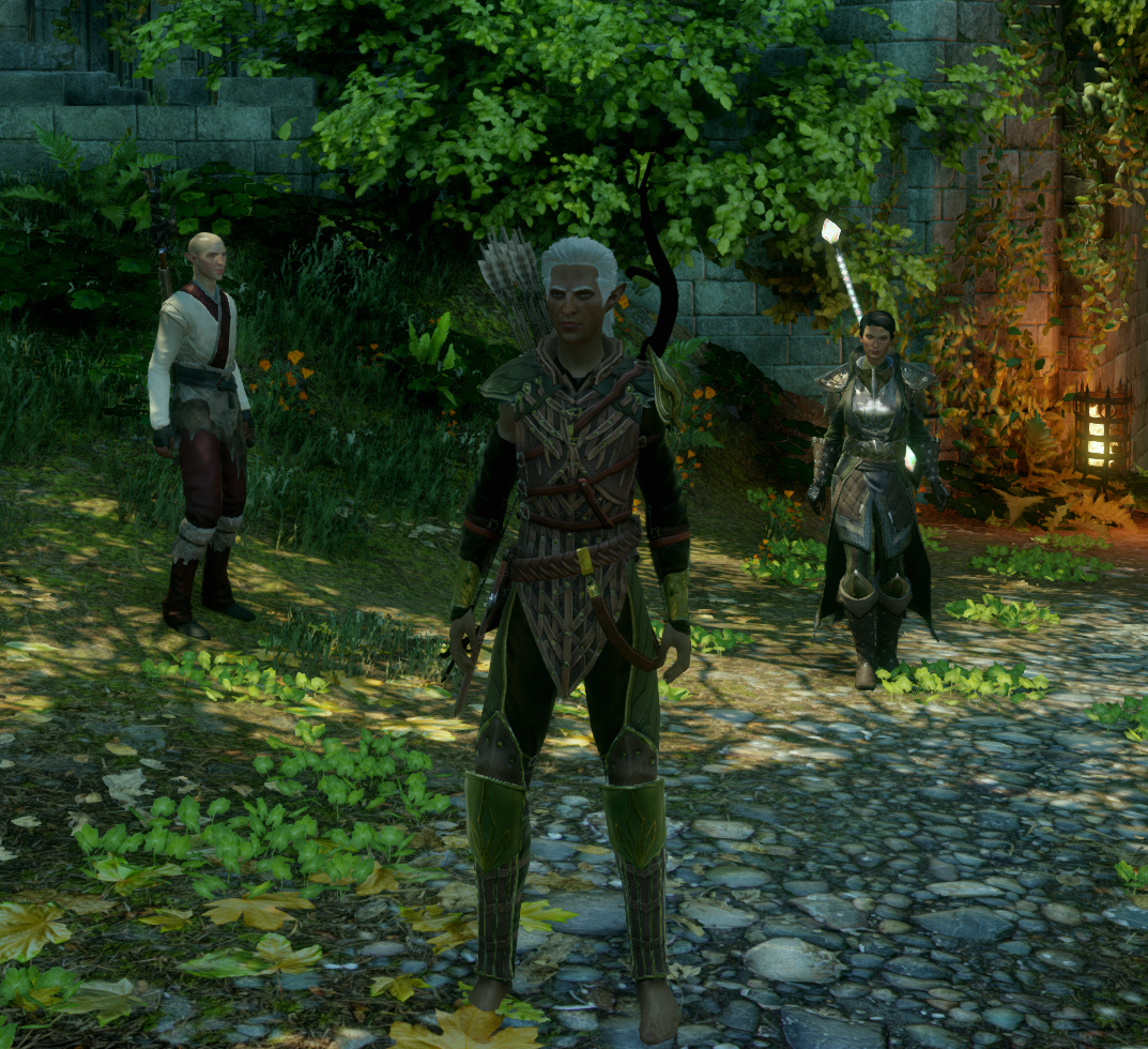 Dalish Archer Assassin Inquisitor